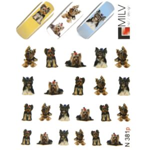 N 381p Йоркширский терьер