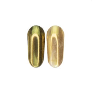 PRO-FEET Втирка голографічна з аплікатором 001