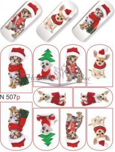 N 507 Коты, собаки НГ