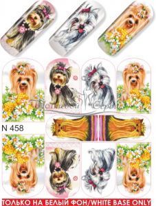 N 458 Йоркширский терьер