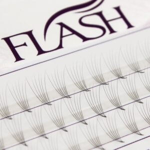 FLASH Ресницы пучковые 6D, изгиб D, толщина 0.05 мм, длина 10 мм, 60 пучков