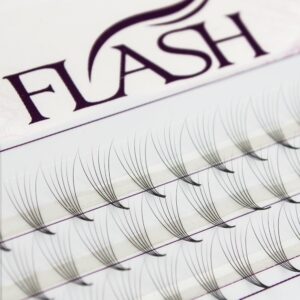 FLASH Ресницы пучковые 6D, изгиб D, толщина 0.07 мм, длина 10 мм, 60 пучков