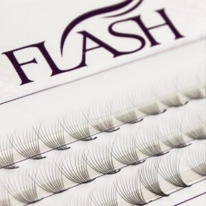 FLASH Ресницы пучковые 10D, изгиб D, толщина 0.07 мм, длина 8 мм, 60 пучков